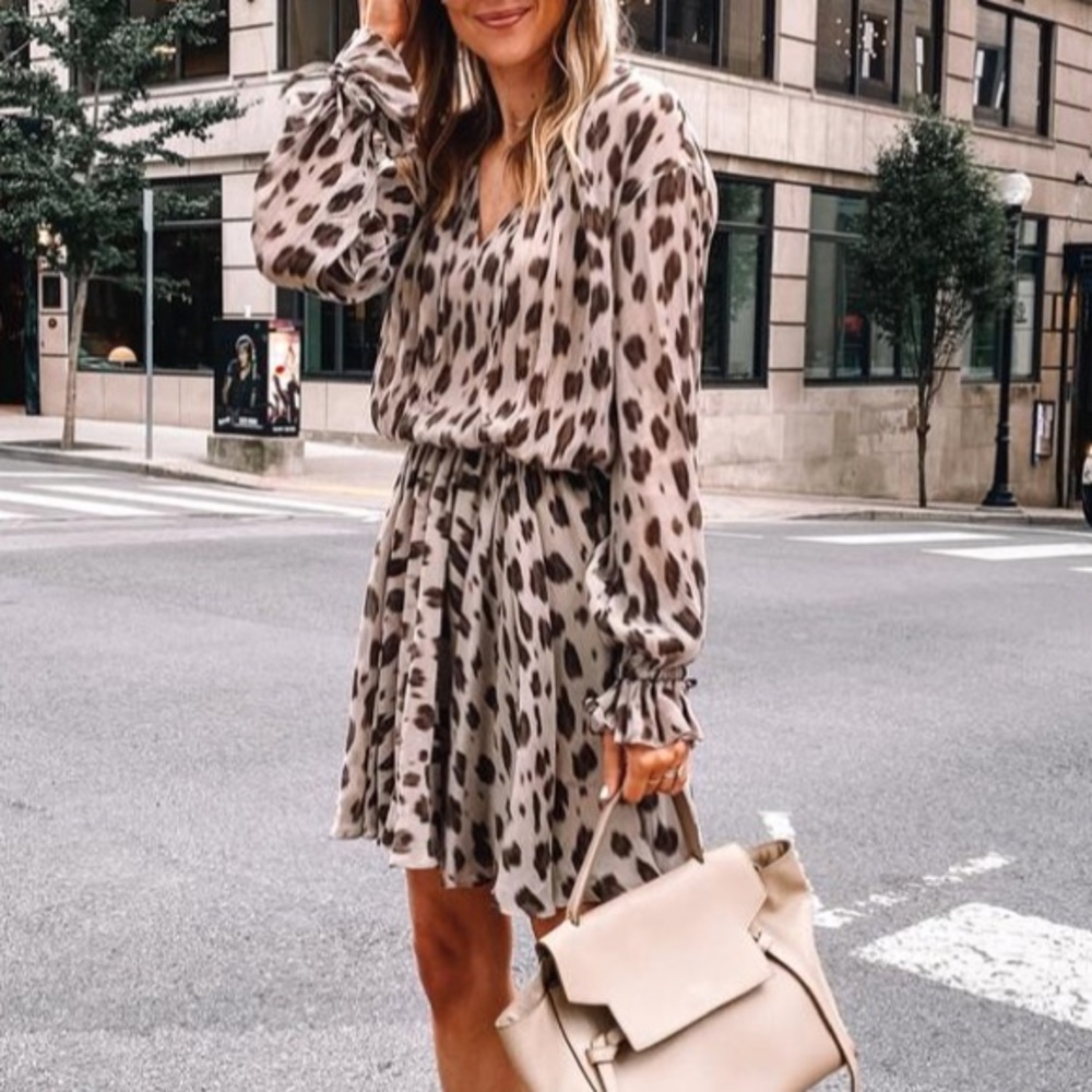 Anine Bing Taupe and Dark Brown Leopard Print Mini Dress
